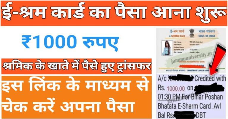 E-Shram Card 2024 ई श्रम कार्ड धारकों के लिए खुशखबरी, खाते में आए ₹1000, ई श्रम कार्ड से जुड़ी सभी जानकारी