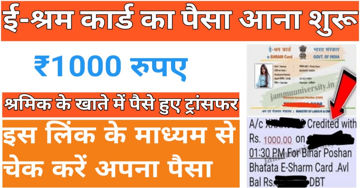 E-Shram Card 2024 ई श्रम कार्ड धारकों के लिए खुशखबरी, खाते में आए ₹1000, ई श्रम कार्ड से जुड़ी सभी जानकारी